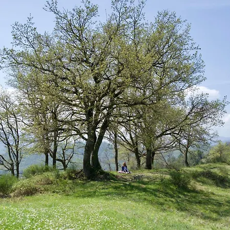 Ca Del Papa - Panoramica Nel Parco Delle Foreste Casentinesi